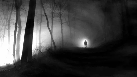 Картинка из общего доступа.