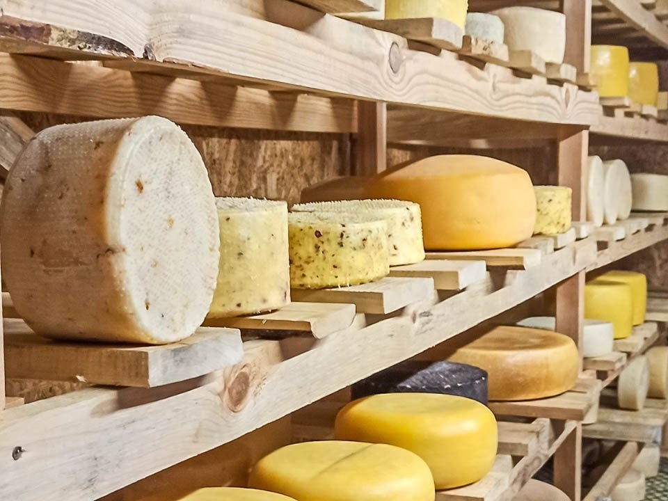    Фото: REGIONS/Эльвира Сафина