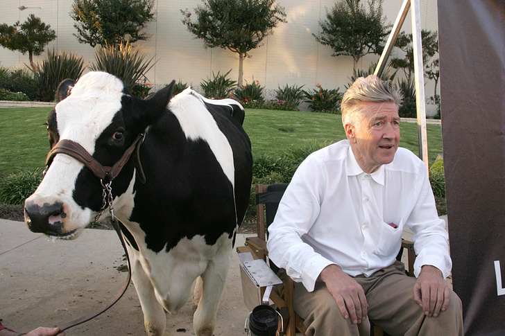    Дэвид Линч с коровой, 2006 год   
s_bukley/Shutterstock/FOTODOM