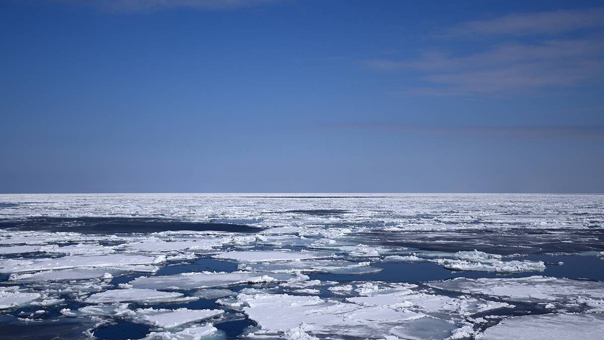    Фото: Shutterstock