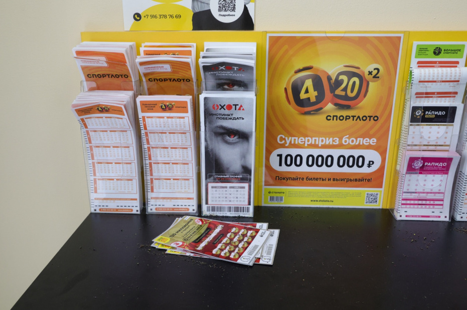    Наталья Шатохина/NEWS.ru