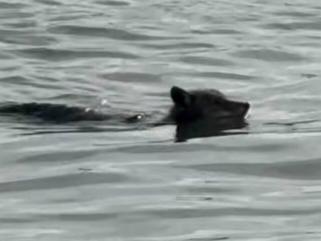    Фото: facebook.com (принадлежит Meta, признана экстремистской и запрещена на территории РФ)/Aidan Moore