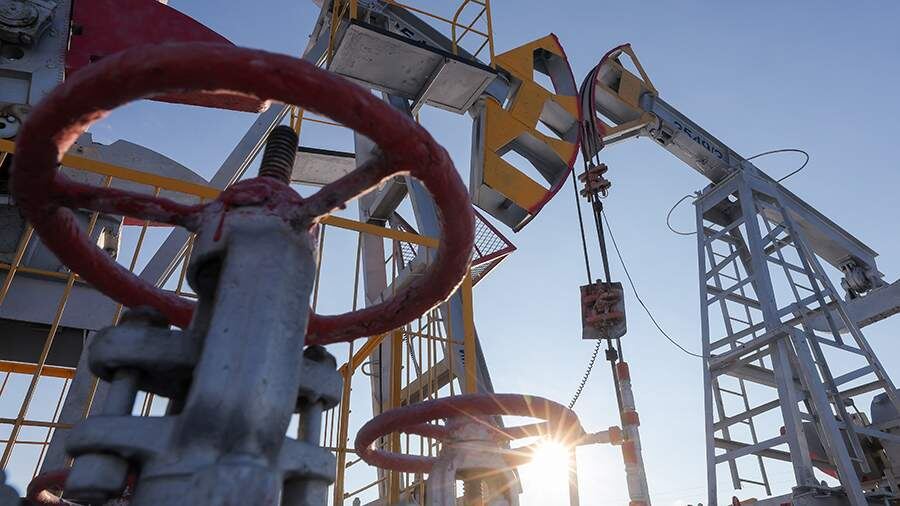    Фото: ТАСС/Егор Алеев