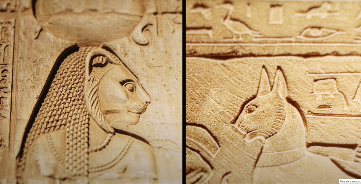 Фото из открытого источника в Яндексе