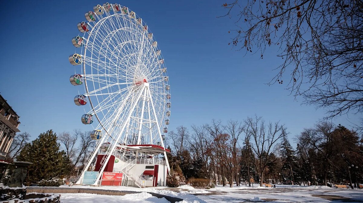     Фото: Пресс-служба администрации Краснодара