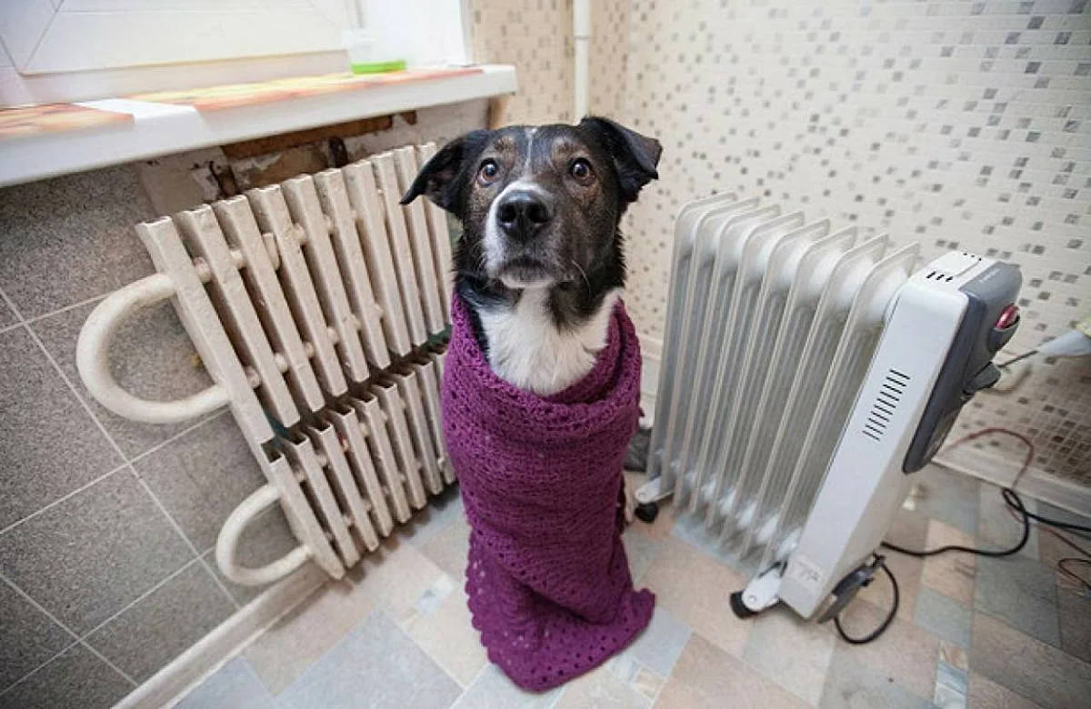 Жильцы дома №78 на улице Кутузова в Красноярске вынуждены переживать аномальные морозы в холодных квартирах.