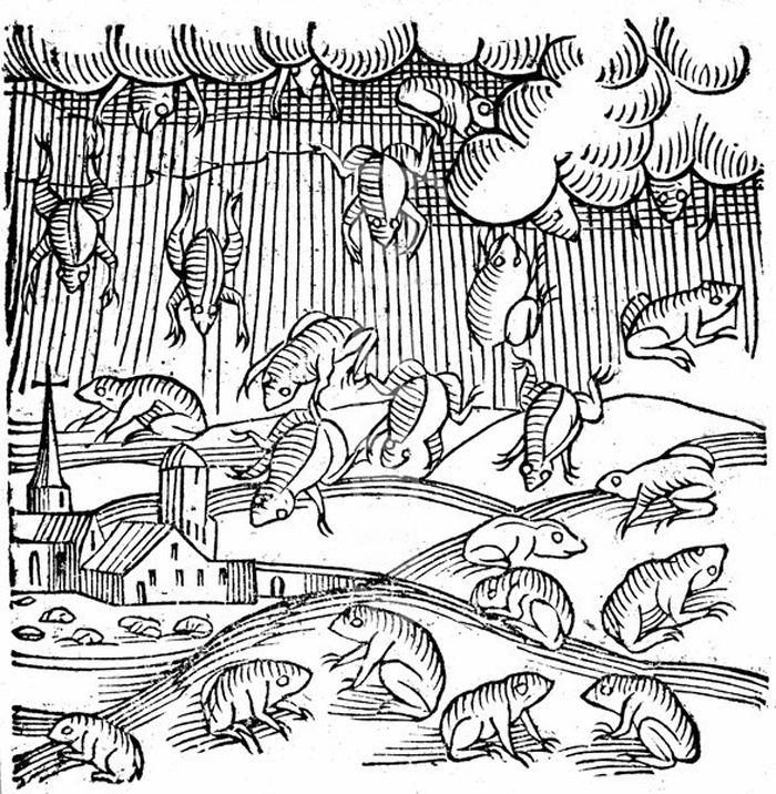 Гравюра на дереве 1557 года, на которой изображен дождь из лягушек в Скандинавии.