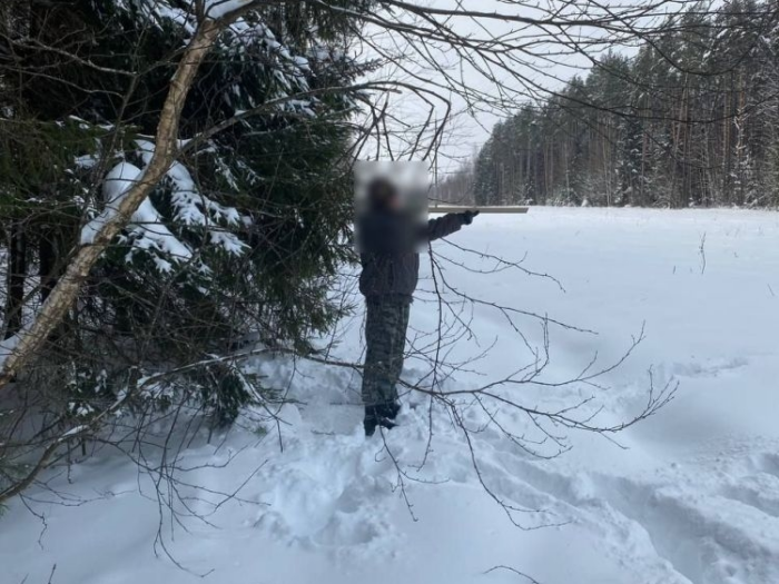 Без лицензии и совести: браконьер застрелил лося