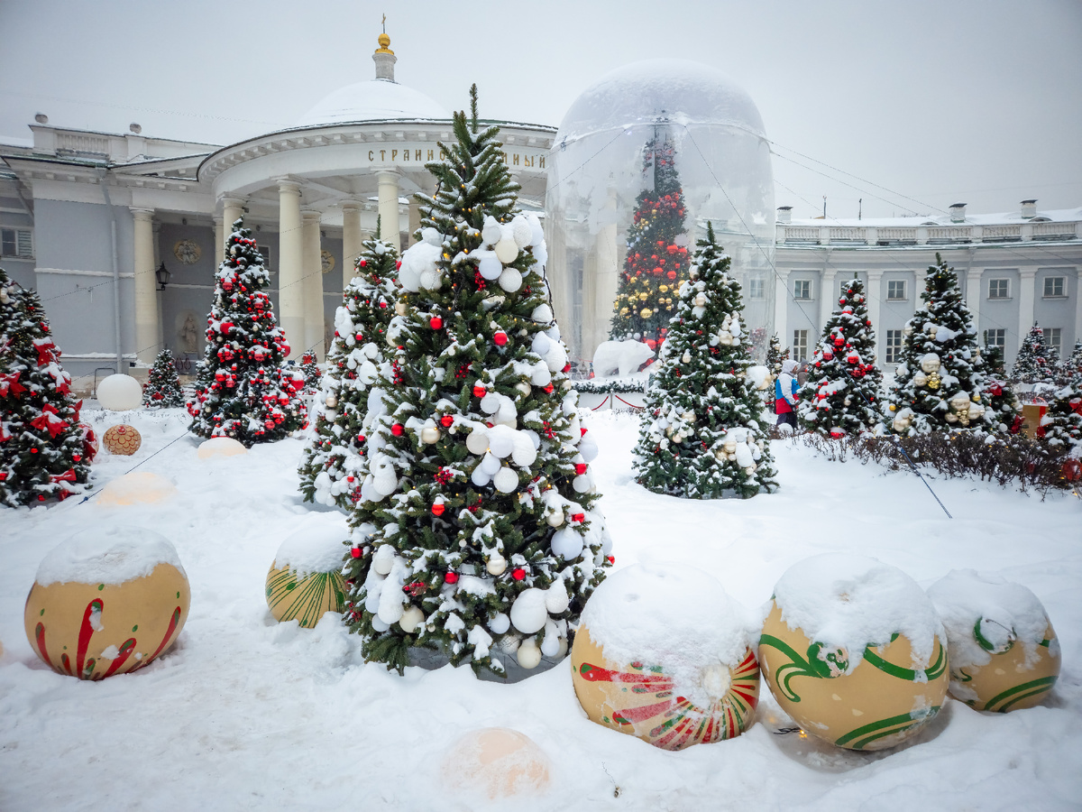 «Сад благодарности» на Сухаревской площади.