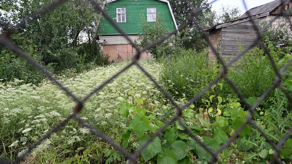 Жителя Ростовской области накажут за сбор галлюциногенных растений
