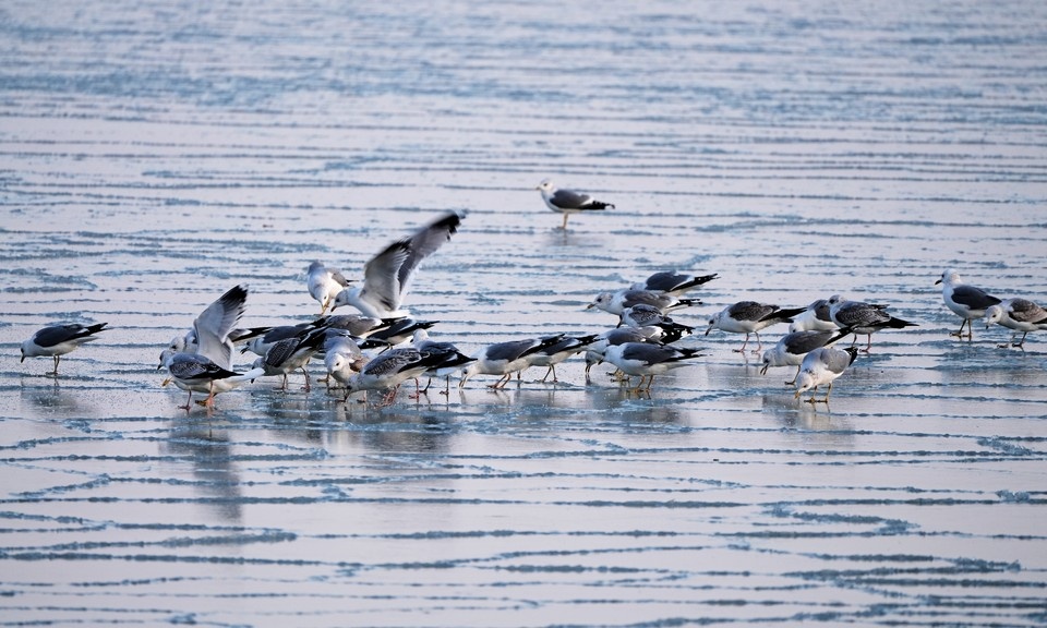    Стратегия направлена на восстановление благоприятных экологических условий Александр ИВАНОВ