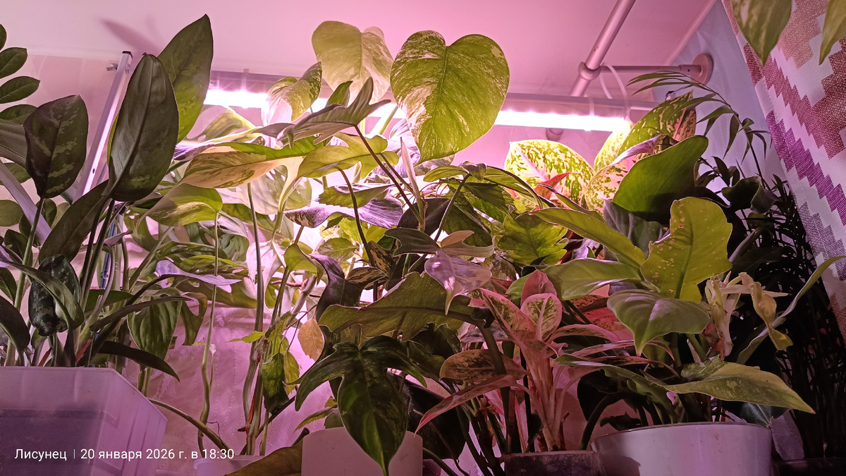 Фото автора.