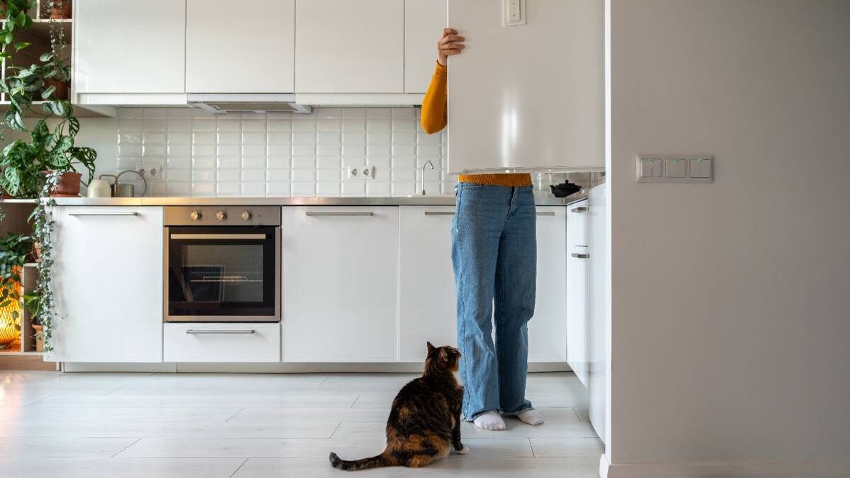    Фото: Shutterstock