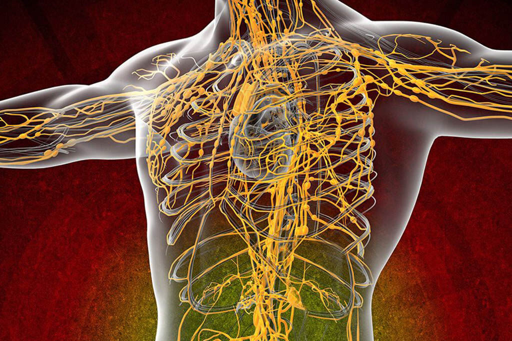 Фото из сети