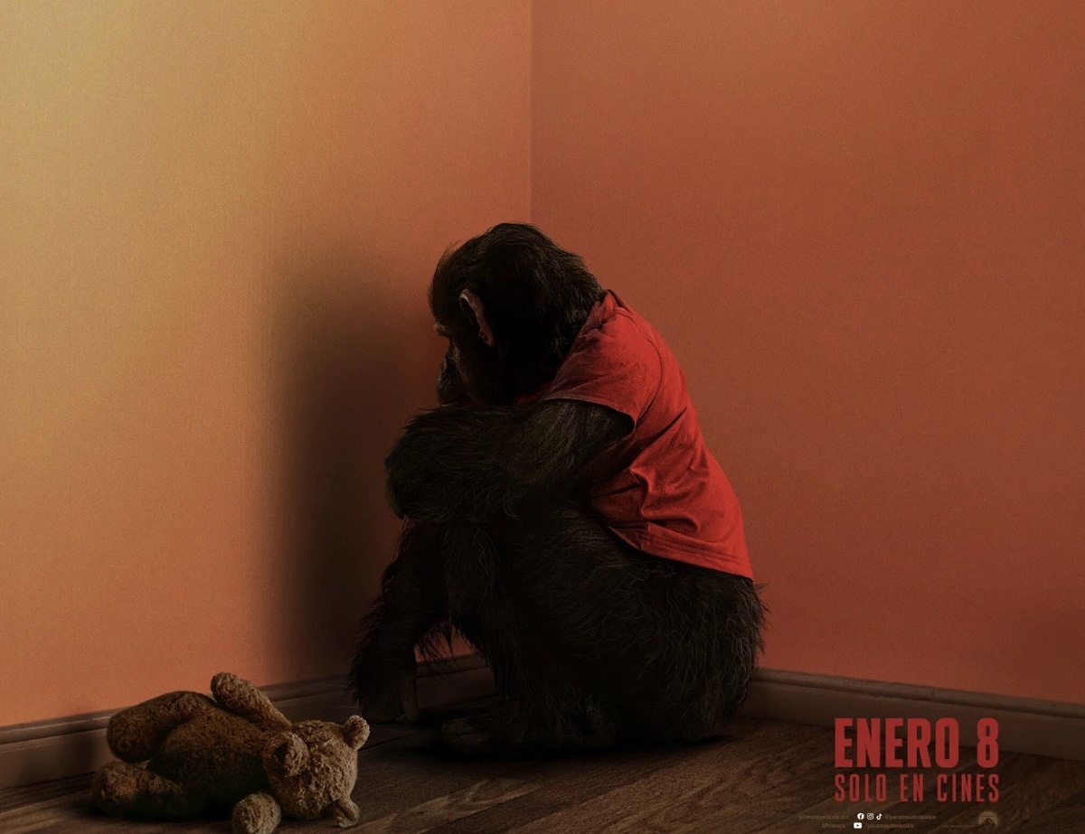 Постер: Кинопоиск 