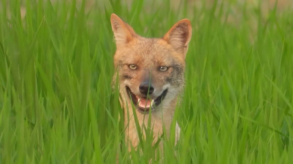    Фото: Shutterstock