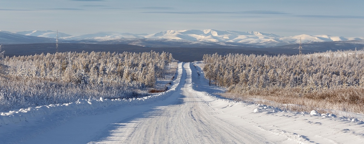 @Andrew Berezovsky/Shutterstock