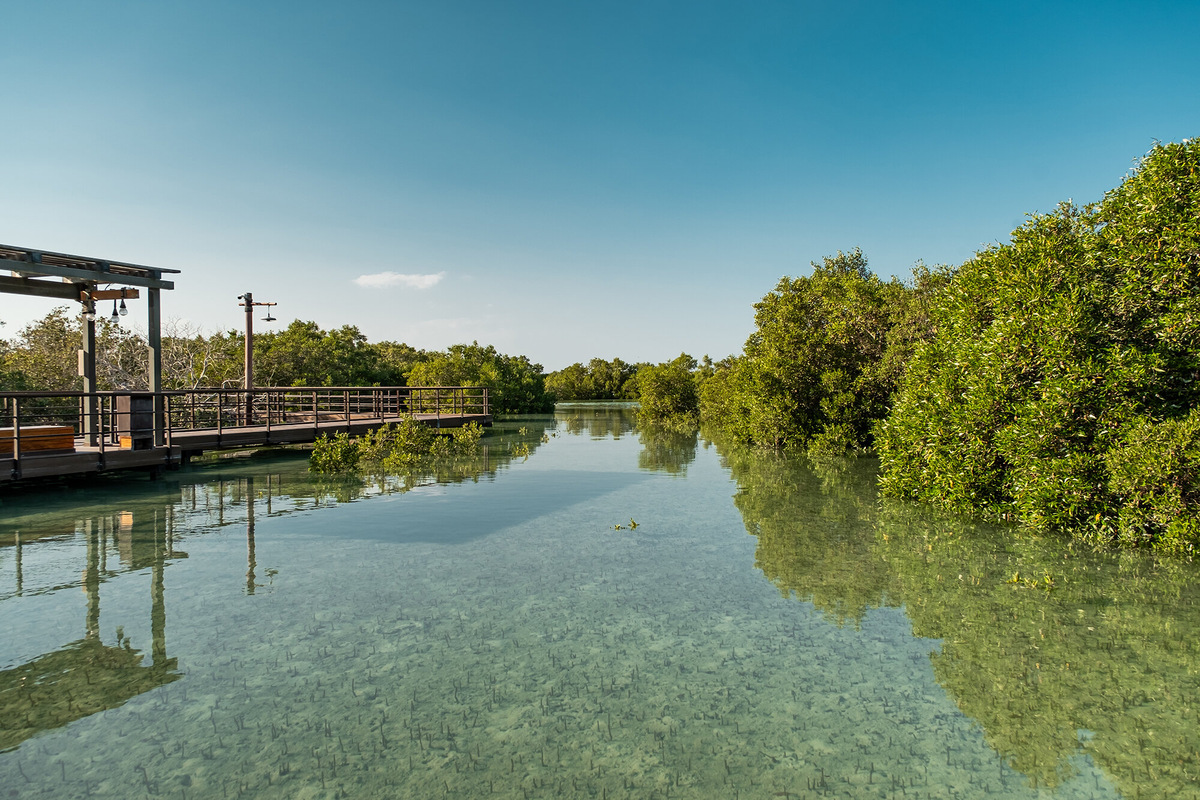 Можно заказать прогулку с рейнджером, который расскажет об обитателях парка, все подробности — на jubailisland.ae. Фото: Hensel Frank / Shutterstock / Fotodom