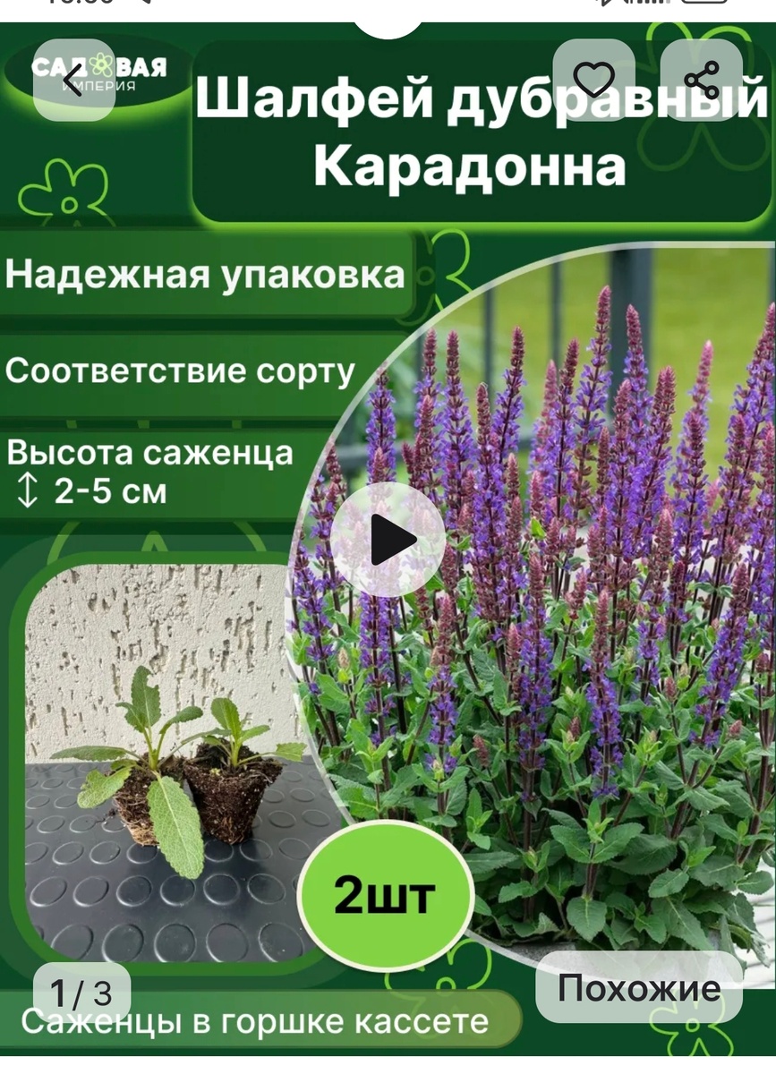 Вот так выглядит на картинке на сайте ВБ.