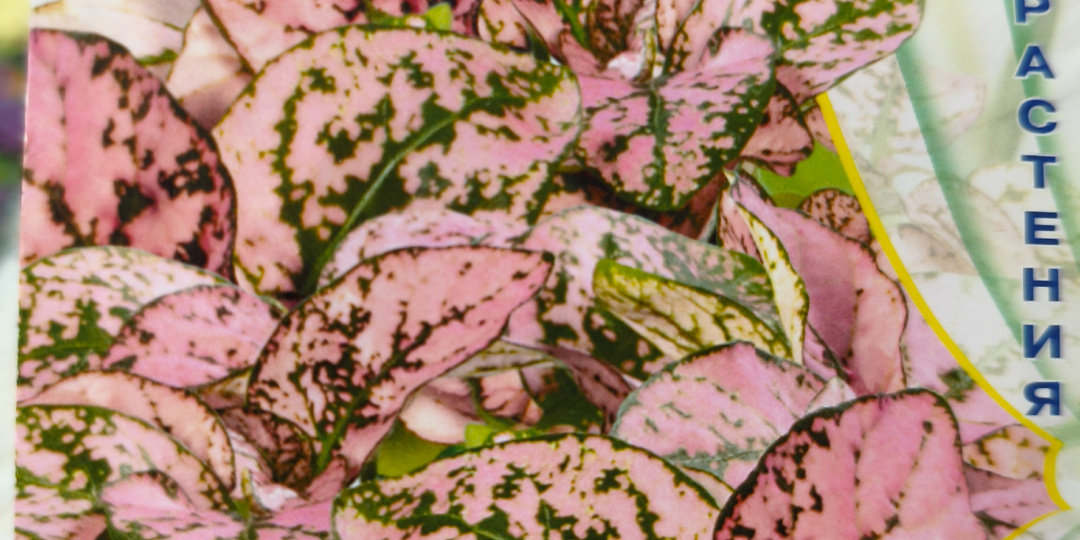 Начинаем готовиться к новому садово-огородному сезону.