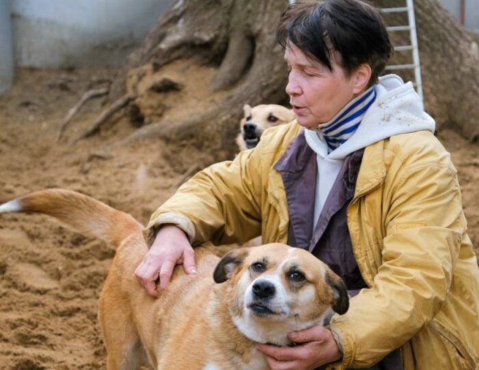 Народ и зоозащитники высказались о предложении Госдумы маркировать домашних животных