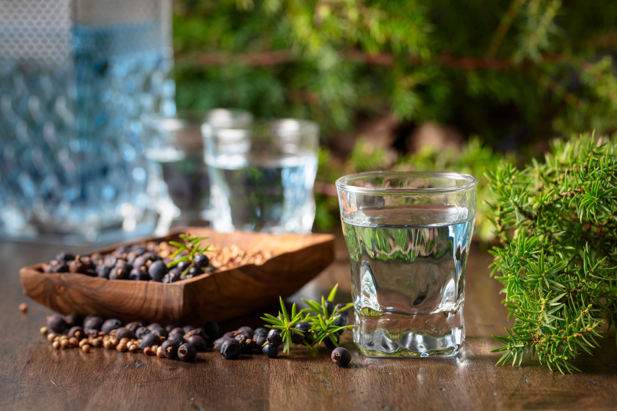    Igor Normann / Shutterstock / FOTODOM