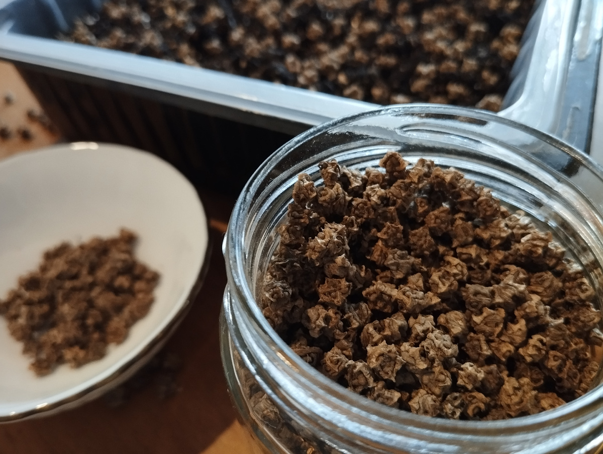 Фото автора статьи: Ворошиловой М. В. Семена свёклы сахарной.