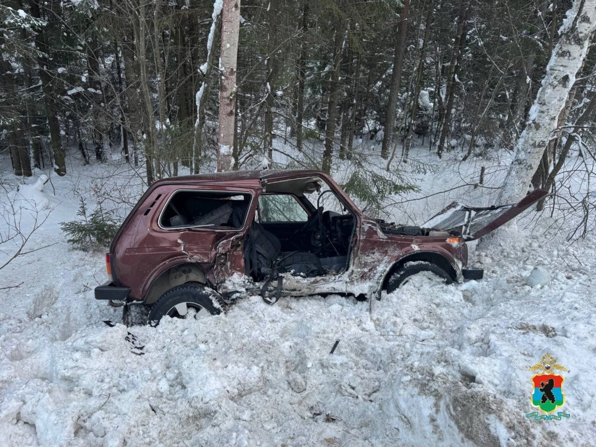    фото: © Госавтоинспекция по Карелии