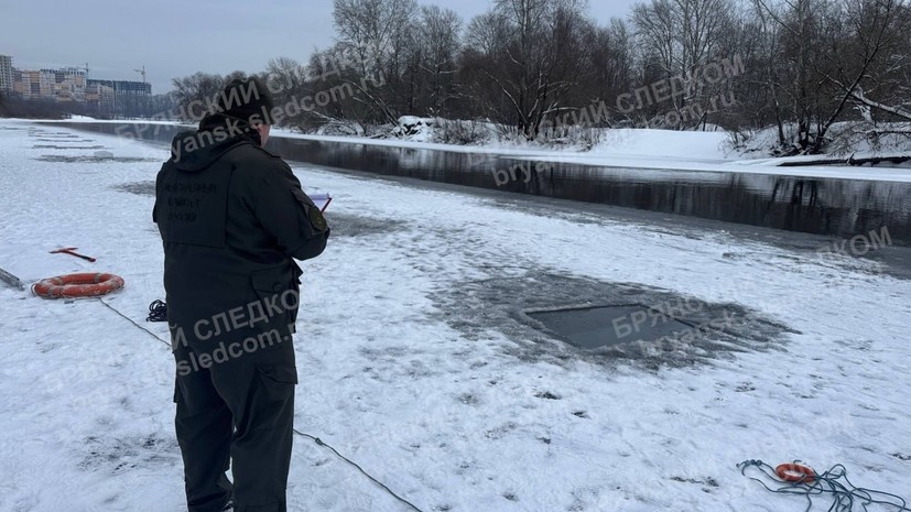    Брянский Следком