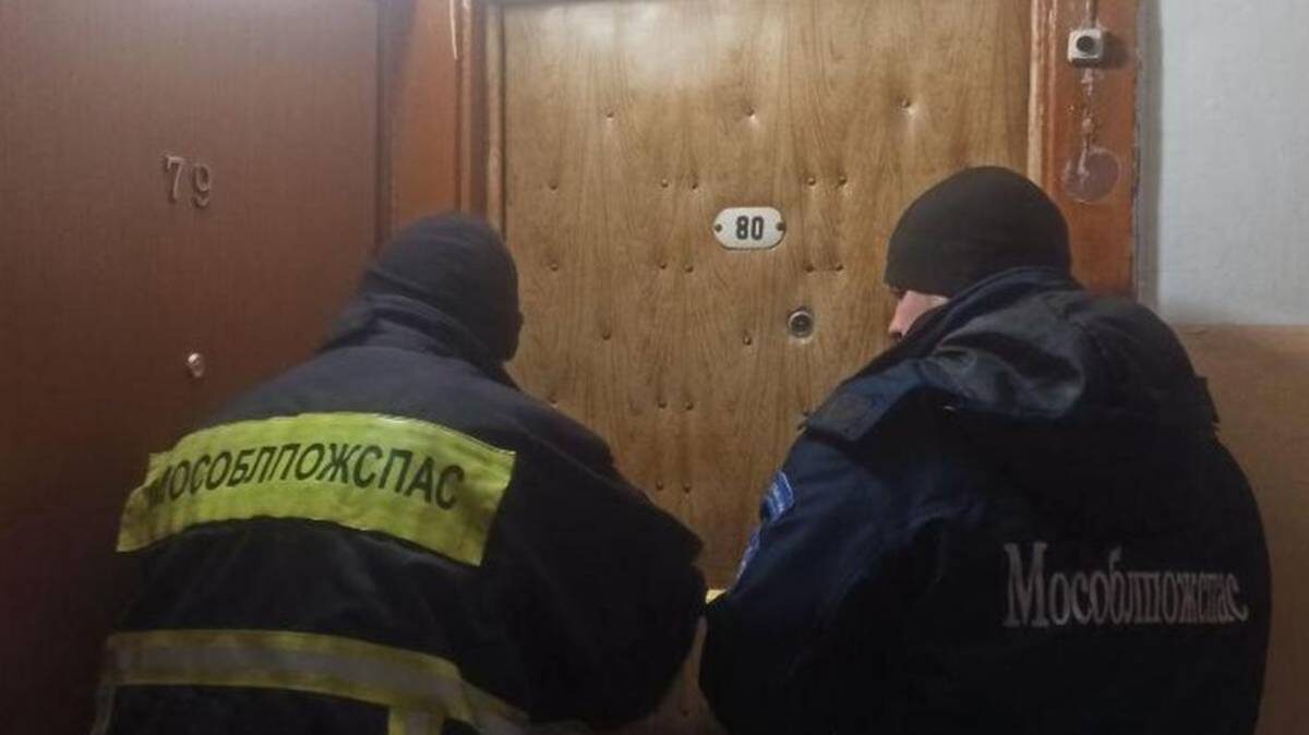    Фото: пресс-служба ГКУ МО «Мособлпожспаса» / Telegram