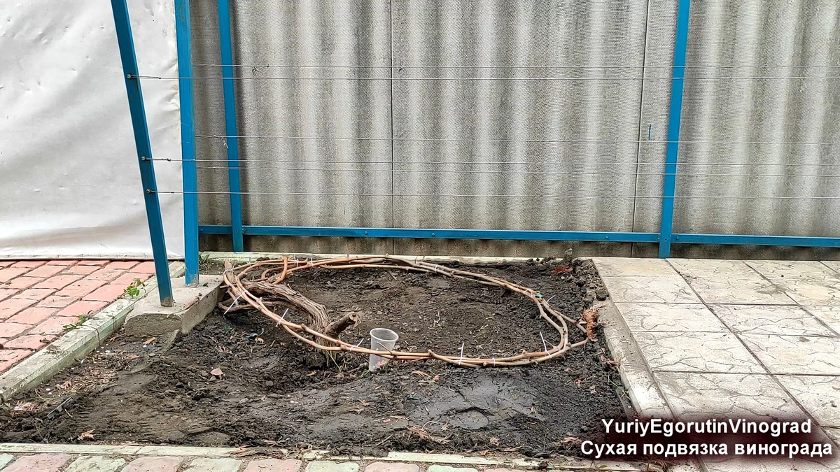 Места для полноценного укрытия практически нет.