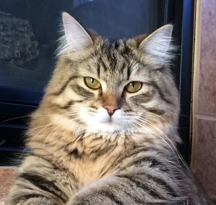 -Доктор, напишите там еще, чтобы кормили почаще!