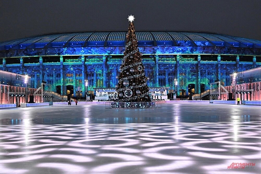    Мультимедийный каток в «Лужниках». Фото: АиФ/ Эдуард Кудрявицкий