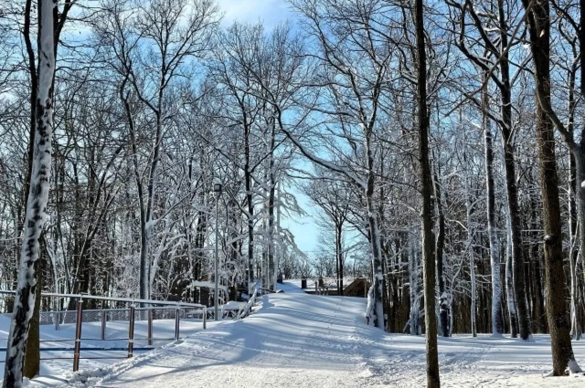    Возле лыжероллерной трассы «Олимпия» в Белгороде в этом году откроют ФОК