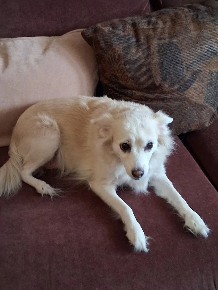 Знакомьтесь! Это Стеша.