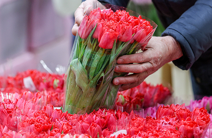   Егор Алеев/ТАСС