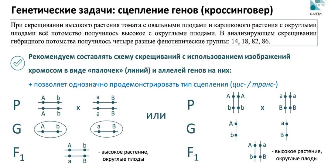 Вот это относительно новенькая вещь — рекомендуют оформлять задачи на неполное сцепление через палочки