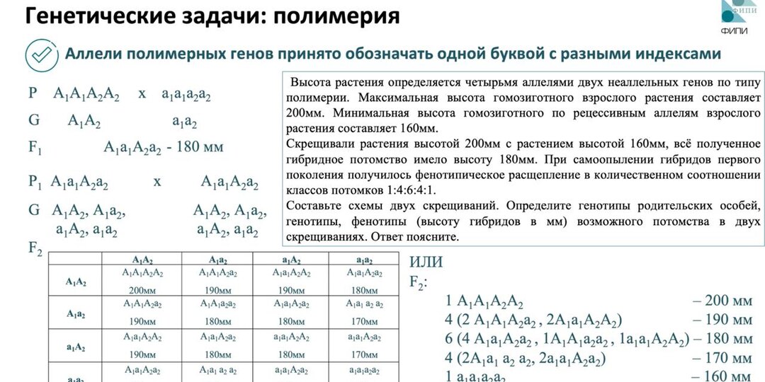 Вот пример оформления задачи на полимерию
