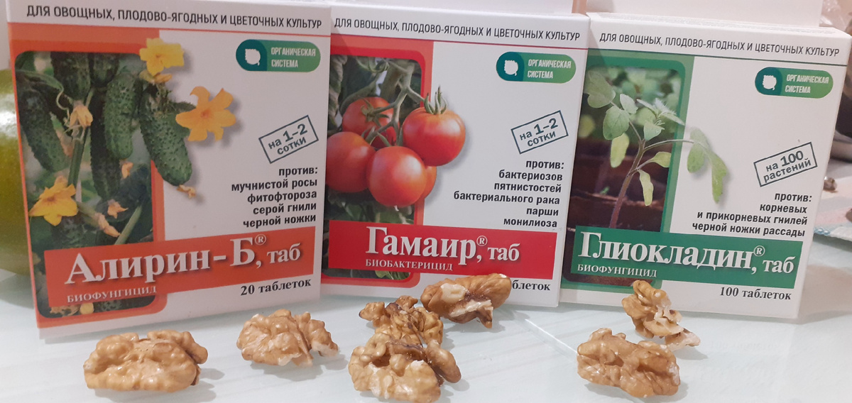 МОЯ ЛЮБИМАЯ ЛИНЕЙКА, НА СЕГОДНЯШНИЙ ДЕНЬ, СРЕДСТВ.