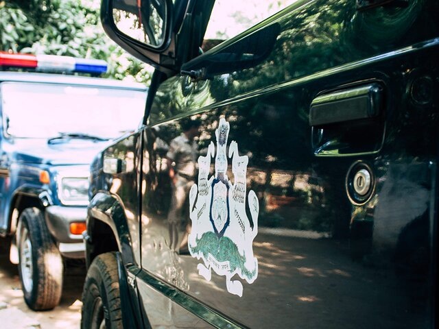    Фото: 123RF.com/joseh51