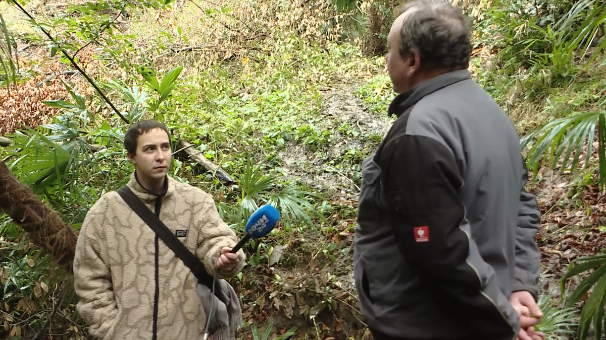    Фото: Сочи24