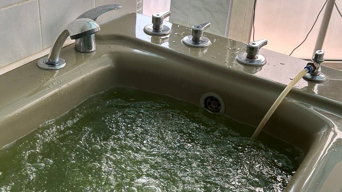    Фото: телеканал «Краснодар»