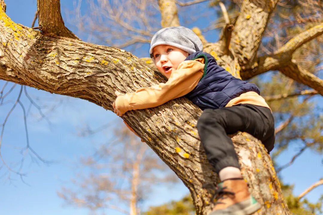 Фото: Dzmitry Sarmont/Shutterstock