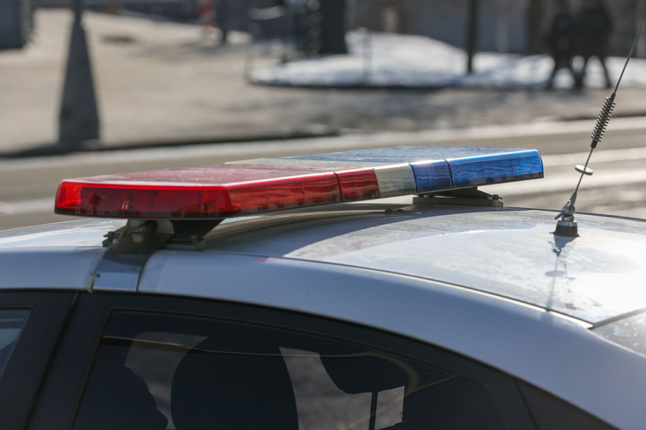    Алексей Белкин/NEWS.ru