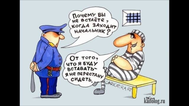 Секретный запас смеха: анекдоты для плохого настроения