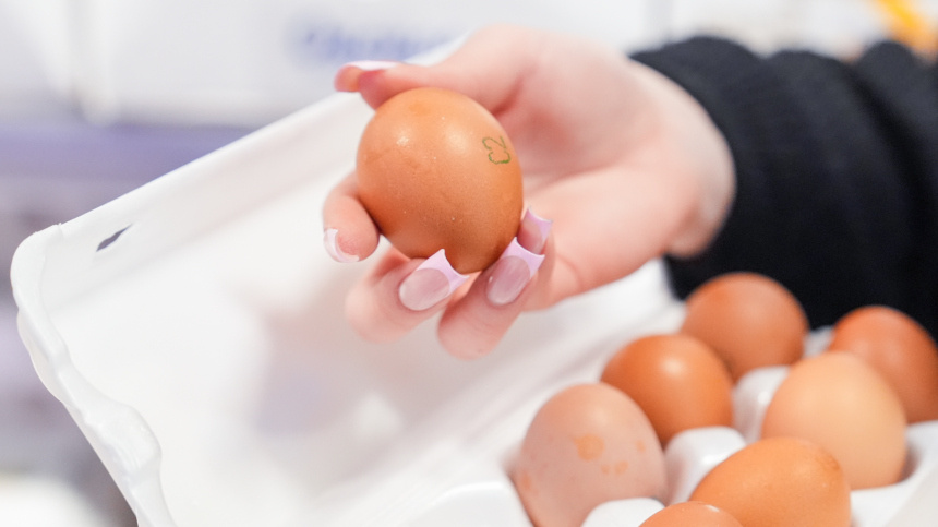    Фото: ИЗВЕСТИЯ/Эдуард Корниенко