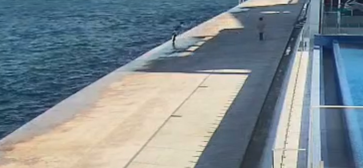 Скриншот из видео