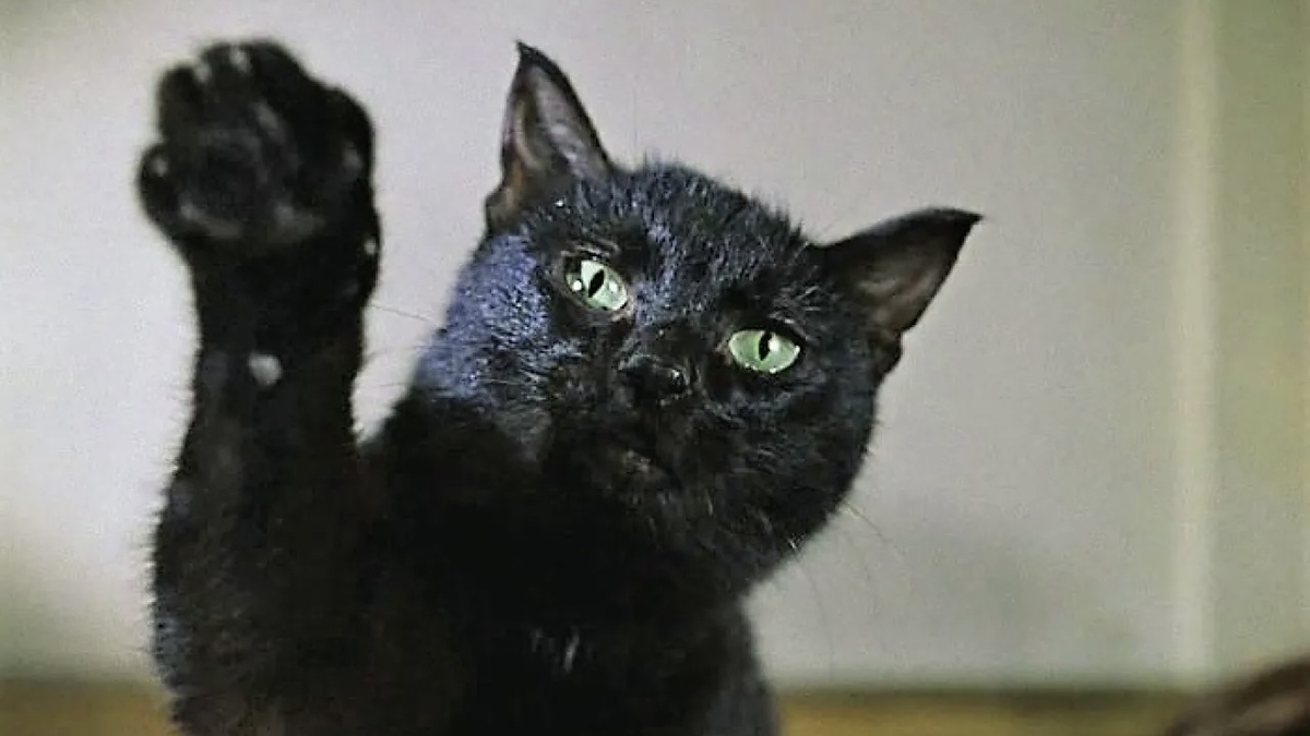 «Иван Васильевич меняет профессию», к/с «Мосфильм», 1973, реж. Л. Гайдай