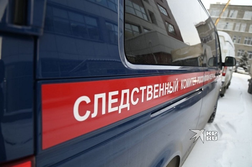    Подростку было предъявлено обвинение Ольга ЮШКОВА