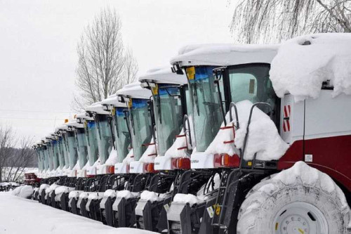    Фото сайта правительства РО Татьяна Пшеничная